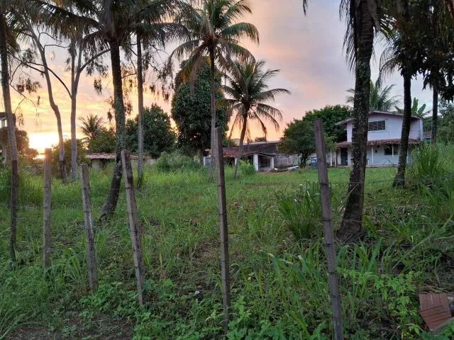 2 terrenos de 20x40 (800m² cada) - Foto 4