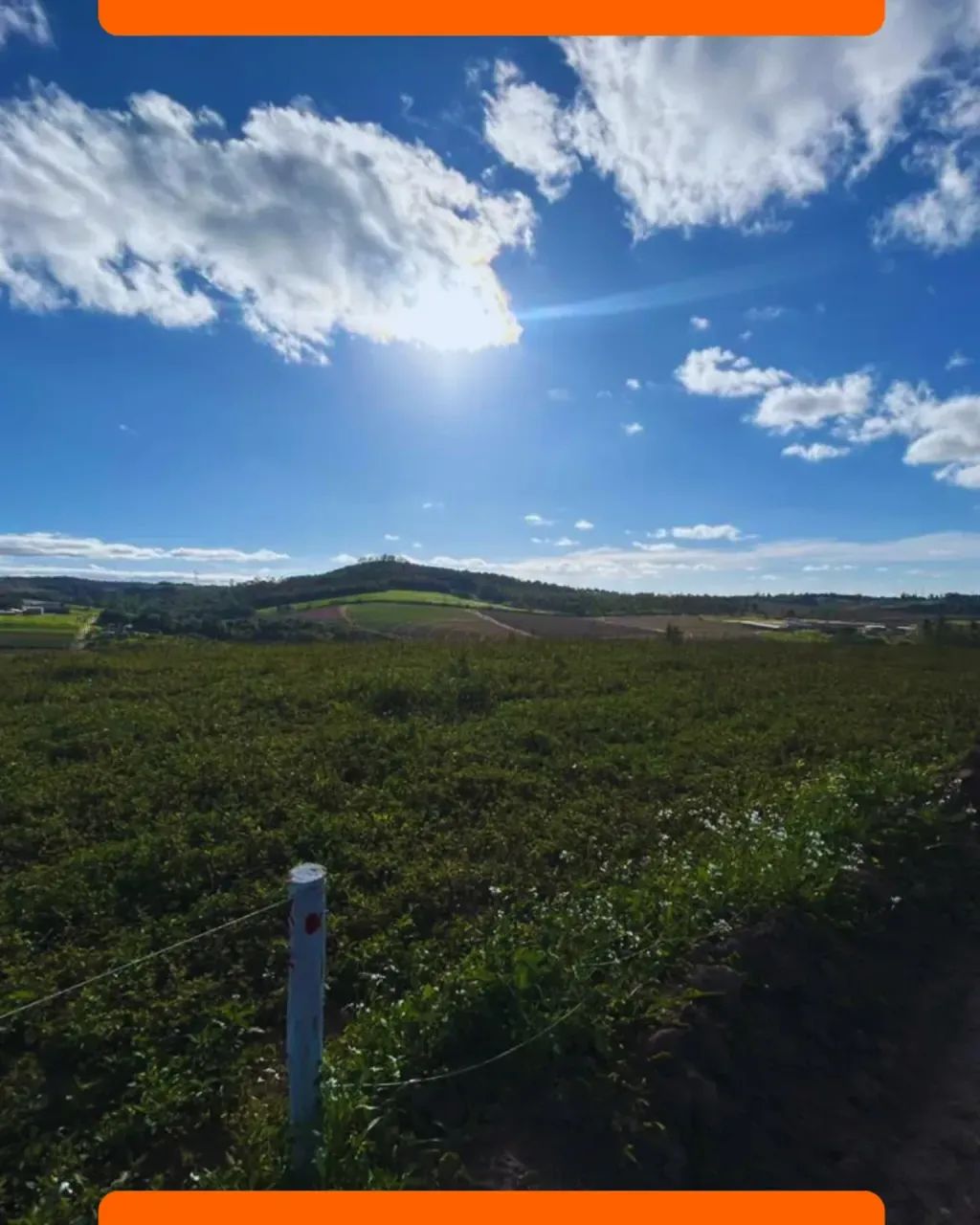 Terreno em Cotia próximo Raposo Tavares - Foto 5