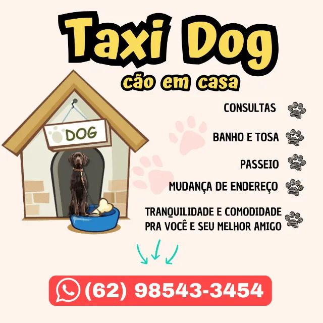 taxi dogg
