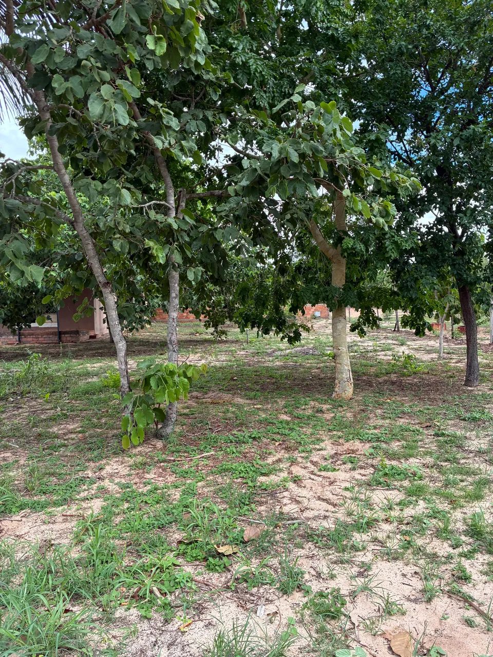 Vendo Lote Araguaia  - Foto 5