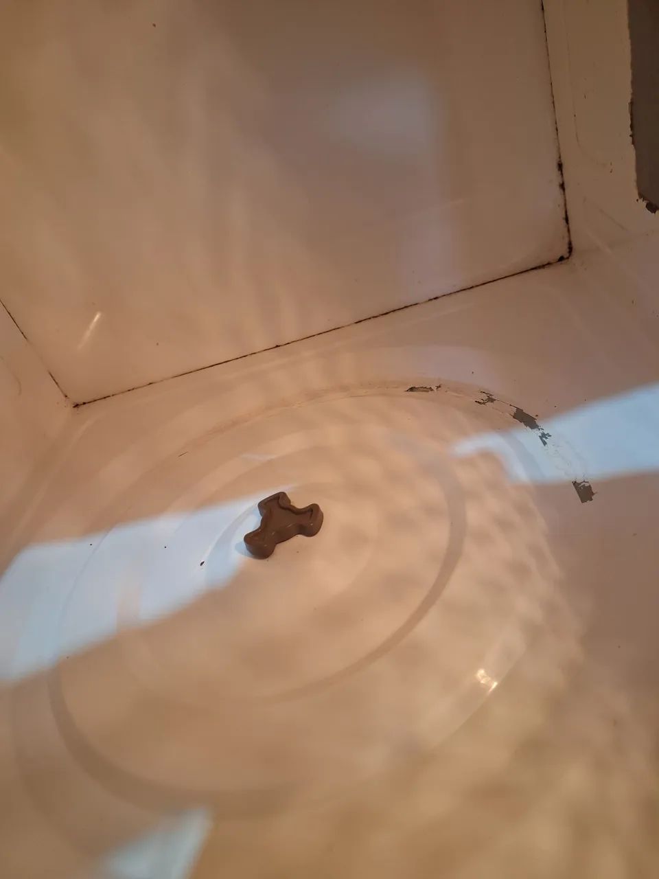 Vendo microondas funcionando normalmente marca Electrolux só está um pouco descascado  - Foto 3