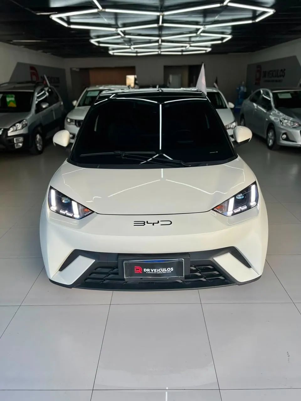 BYD Dolphin GS (Elétrico) 2025 - Foto 2