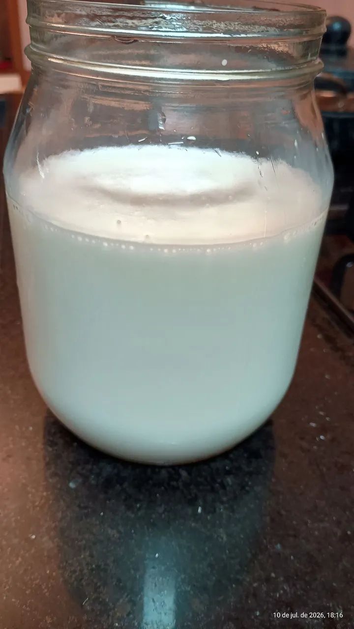 DOA-SE KEFIR DE LEITE ? - Foto 2