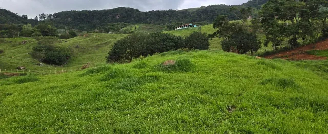 Campo das Nascente SM - Foto 5