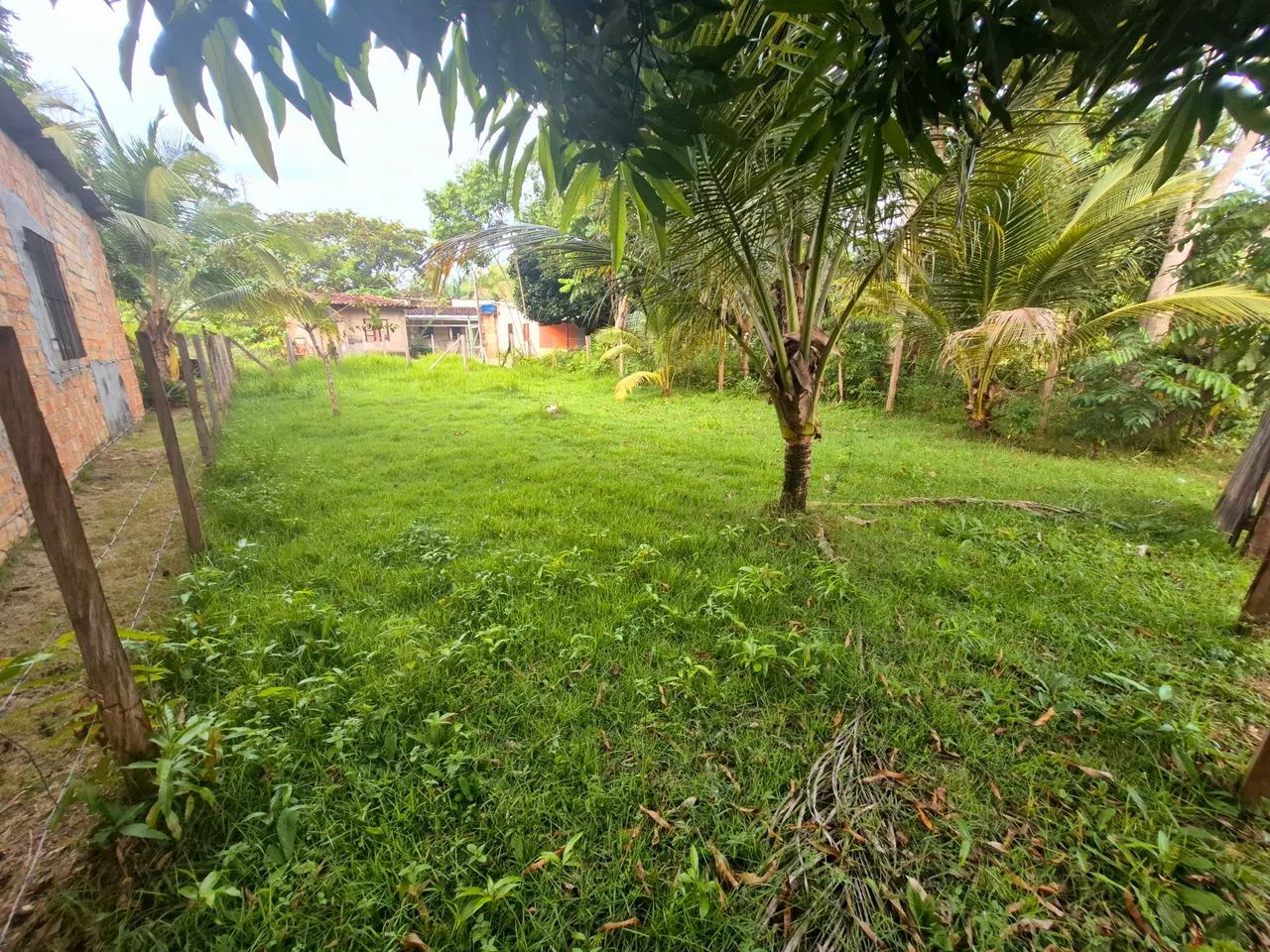 Terreno em Cotijuba - Vai quem quer - Foto 3