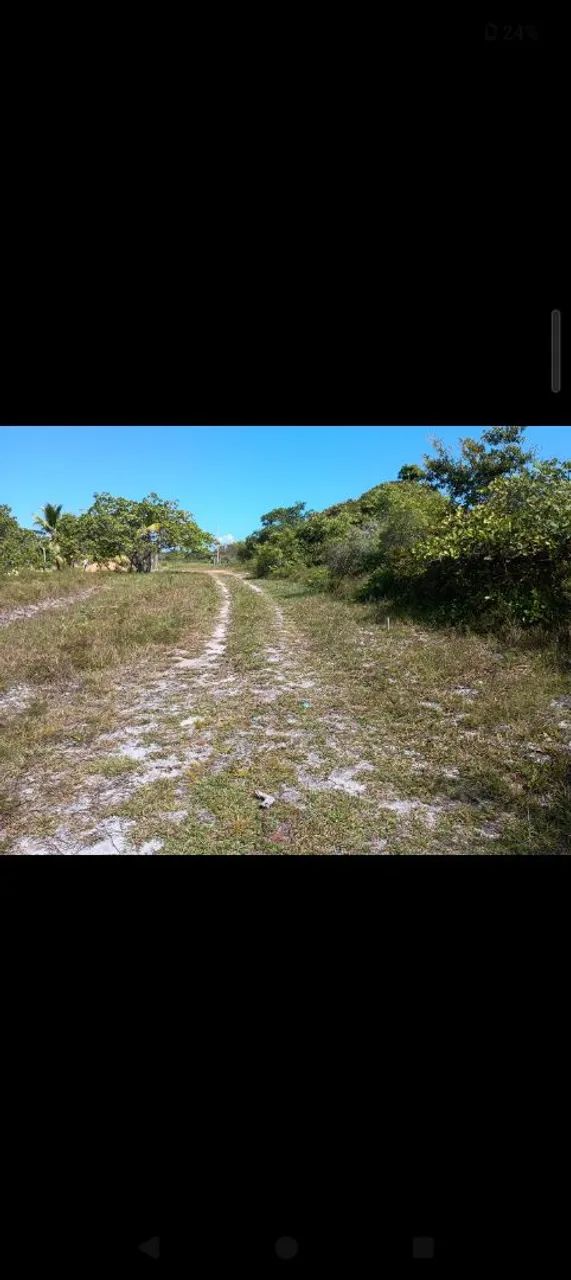 Terreno em rápido desenvolvimento  - Foto 3