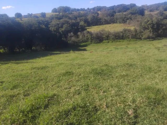 Lotes a venda!!! - Foto 3