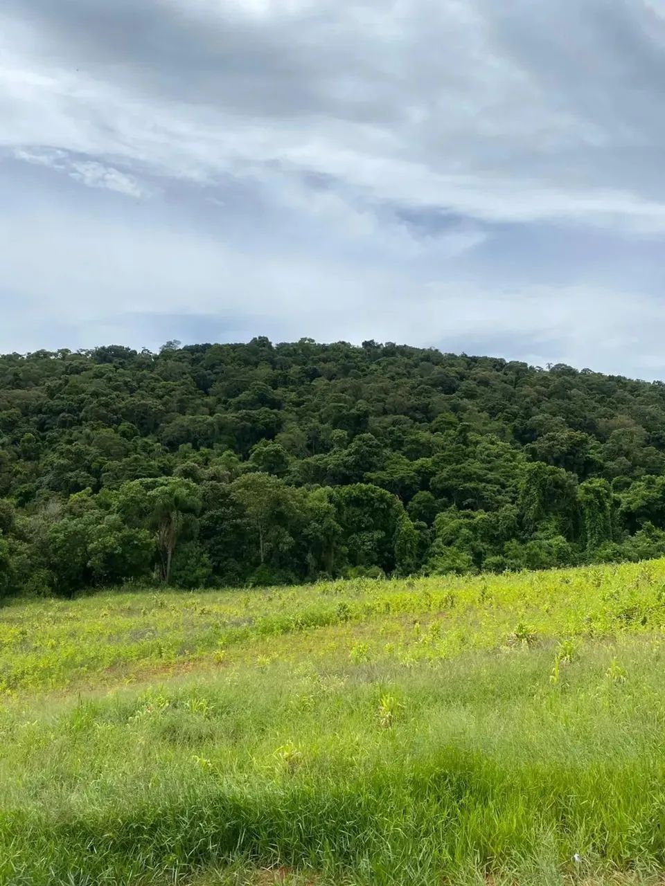 Pré-lançamento em região de crescimento acelerado - Foto 5