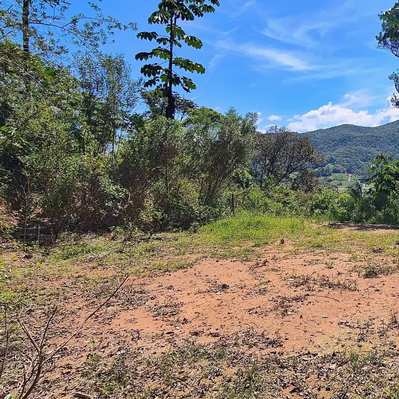 Vendo Terreno em Forquilhas - Foto 4