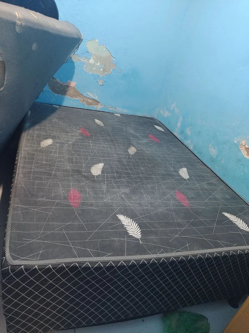 Cama
