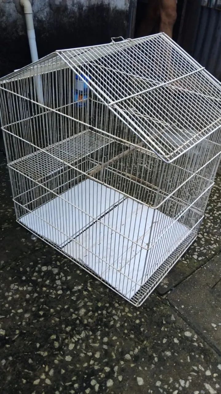 Gaiola 
