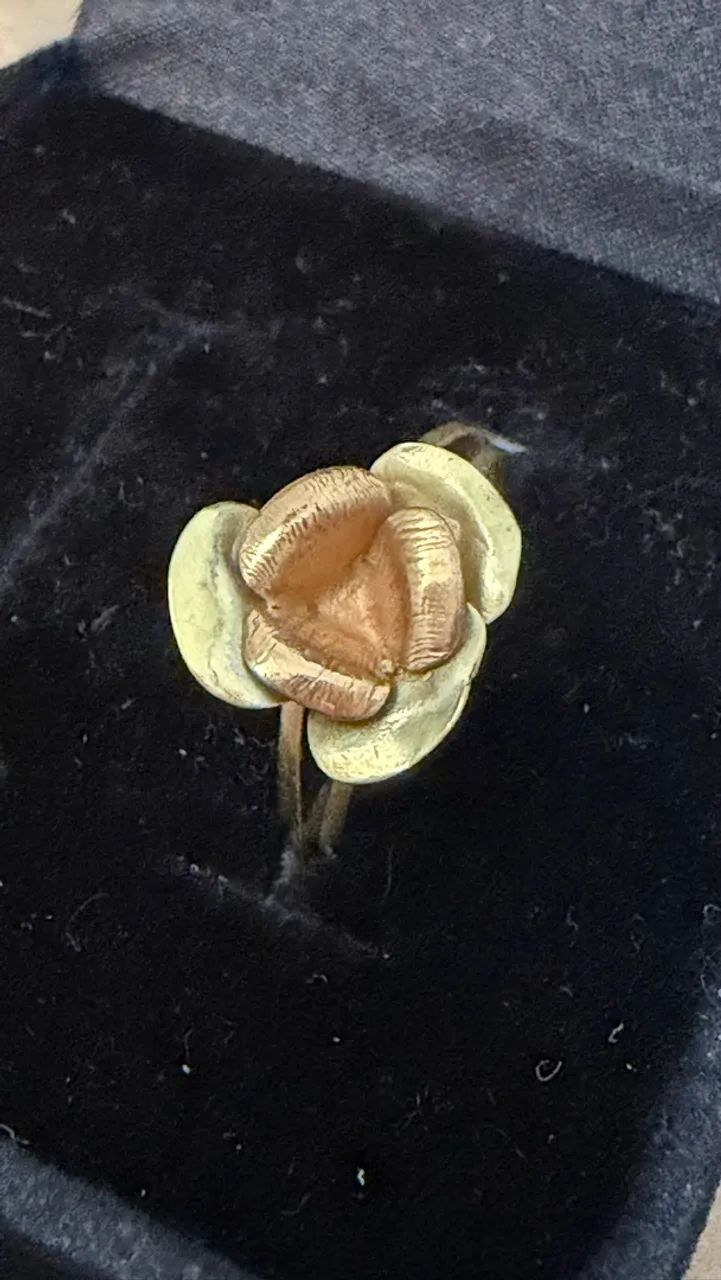 Anel ouro 18K