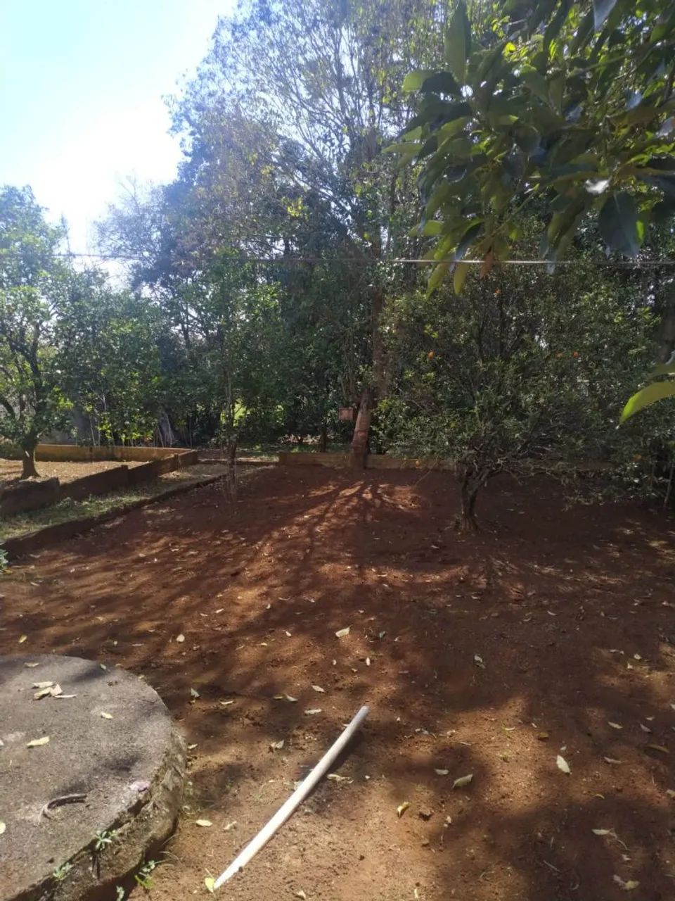 Casa mista com árvores frutíferas  - Foto 2