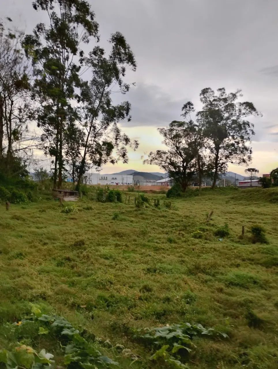 Excelente Oportunidade em Santo Amaro da Imperatriz  - Foto 5