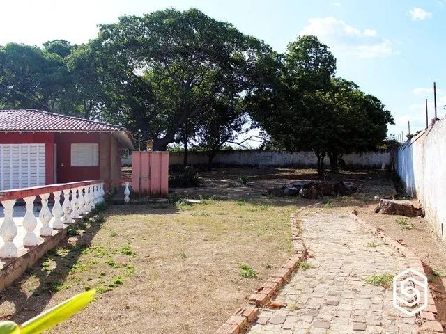 (2548) TERRENO COMERCIAL NA ZONA LESTE - Foto 4