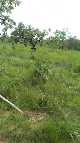 Formosa Goiás - Foto 4