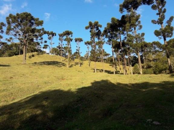 Sitios em Urubici - Foto 5