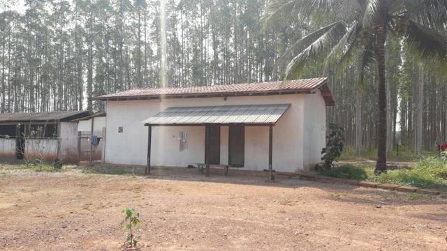 Vendo Linda Fazenda de frente a estrada - a 30 km de porto velho/Ro - Foto 18