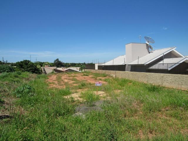 Centro - Foto 6