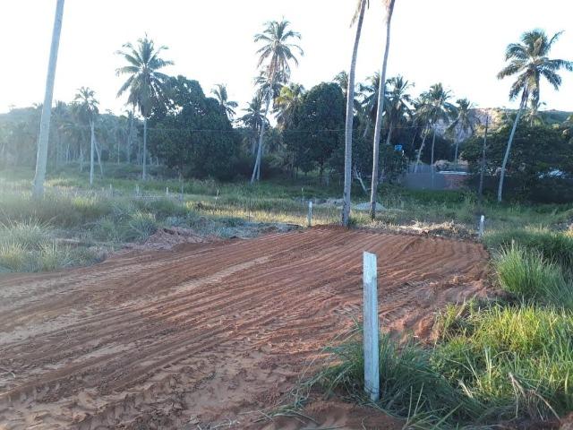 Lote Japaratinga-Rua da jaqueira - Foto 4