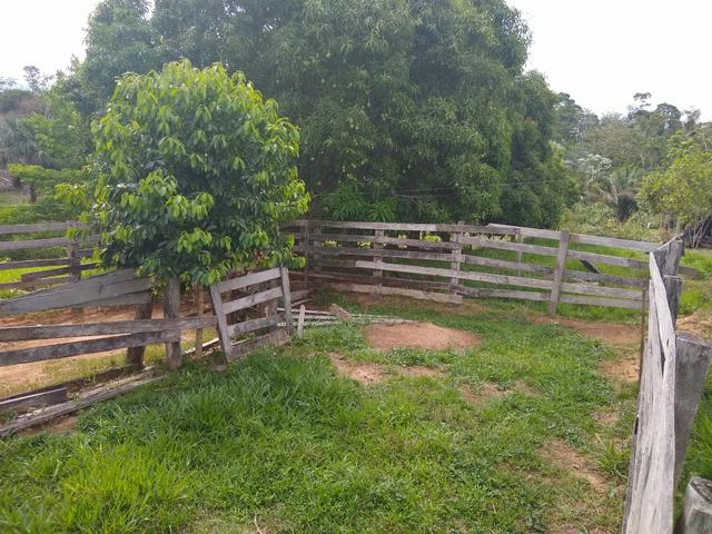 Vende-se chácara após o município do quinari 5 km, projeto Limeira ramal do calango - Foto 4