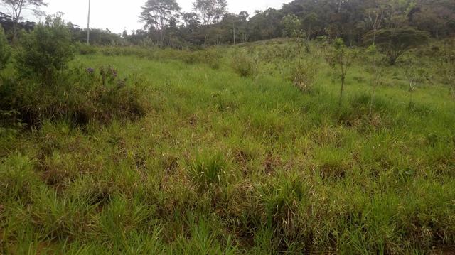 Vendo Fazenda Totalmente Produtiva - Foto 15