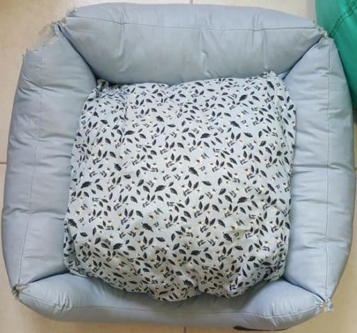 Cama Pet Cachorro - usado