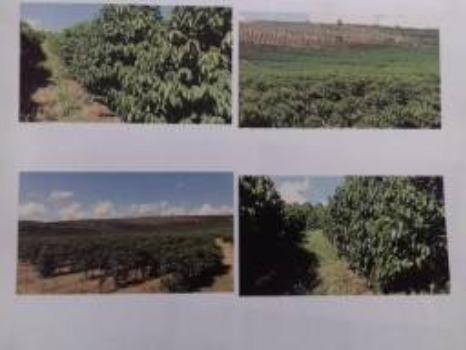 Fazenda Completa em Capelinha/MG - Foto 2