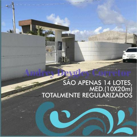 Lot. Flor das Ondas - Exclusivo no Barra Nova