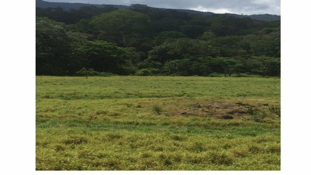Vendo fazenda em coaraci ( oportunidade) - Foto 2