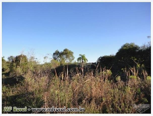 Área de terra com 3 hectares em Fagundes Varela (capela São José) - Foto 4