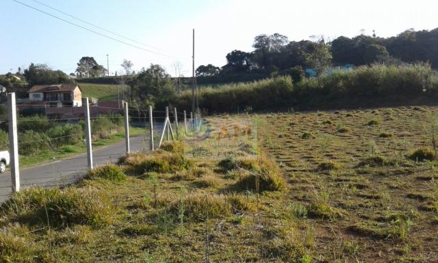 Área, Vila Gilcy, Campo Largo-PR - Foto 15