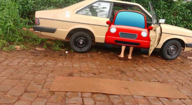 Vende -se corcel 2