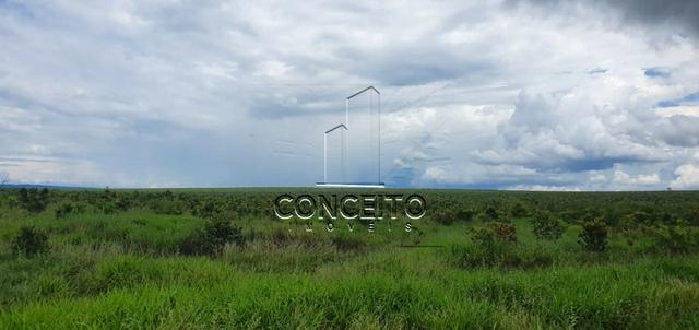 Fazenda na Região de Primavera - Foto 5