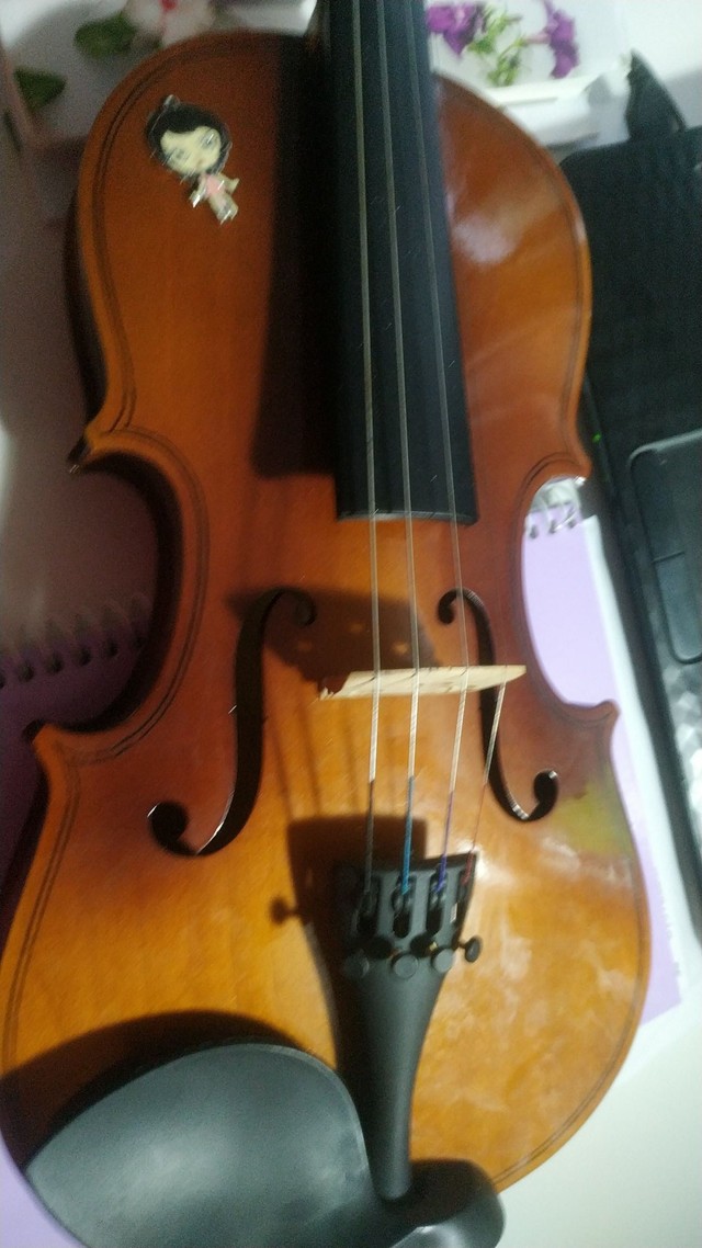 Violino ?