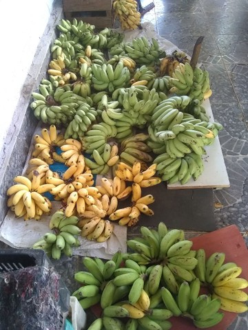 Só Bananas  - Foto 2