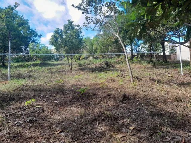 VENDO ÁREA PARA SÍTIO OU VILLAGE 57X55=3.135m² MURADA NA FRENTE - Foto 8