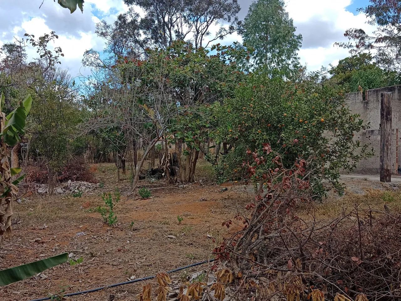 foto - Betim - São Caetano