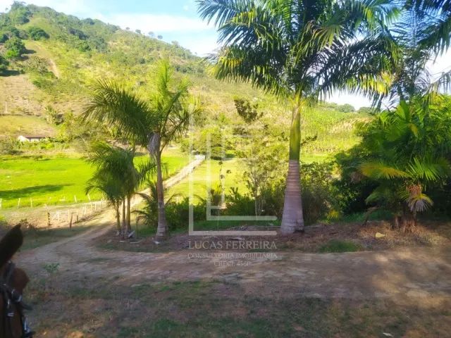 Fazenda de 10 hectares com ótima casa sede em Santana do Mundaú - Foto 3