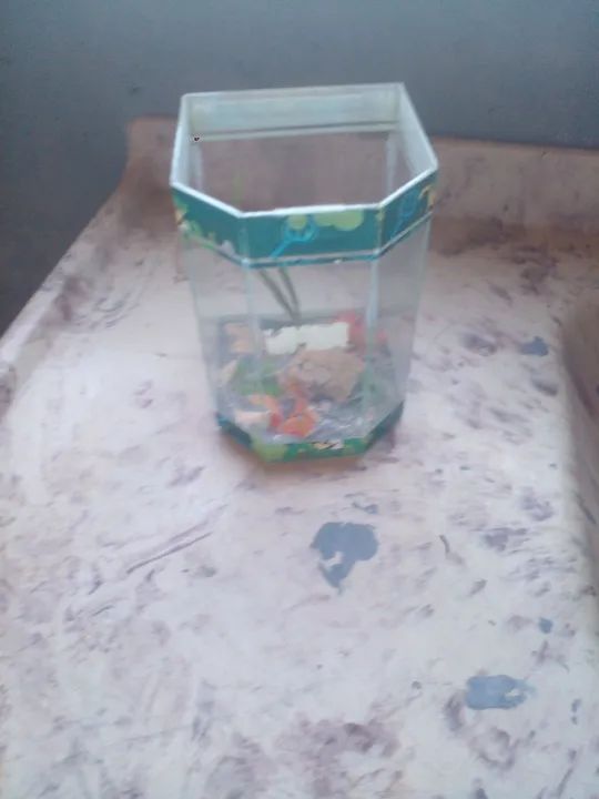 Aquário de vidro decorado - Foto 2