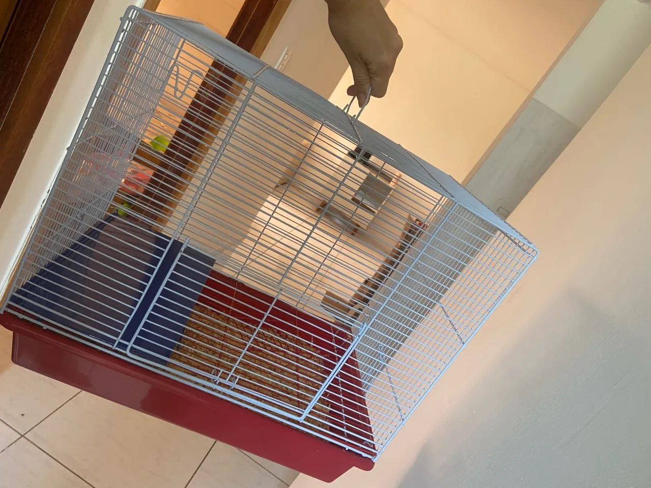 Gaiola em perfeito estado  - Foto 3