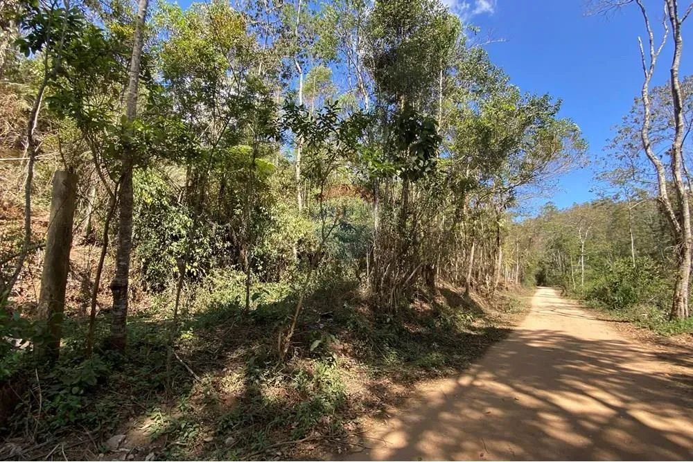 Lotes Comerciais e Residenciais a venda - 2521 m2 - Nova Friburgo - Novo Bairro em desenvo - Foto 3
