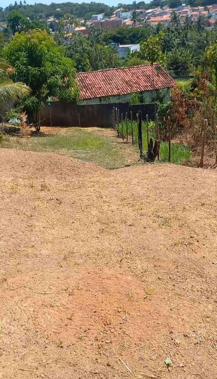 Terreno na ilha-----LEIA