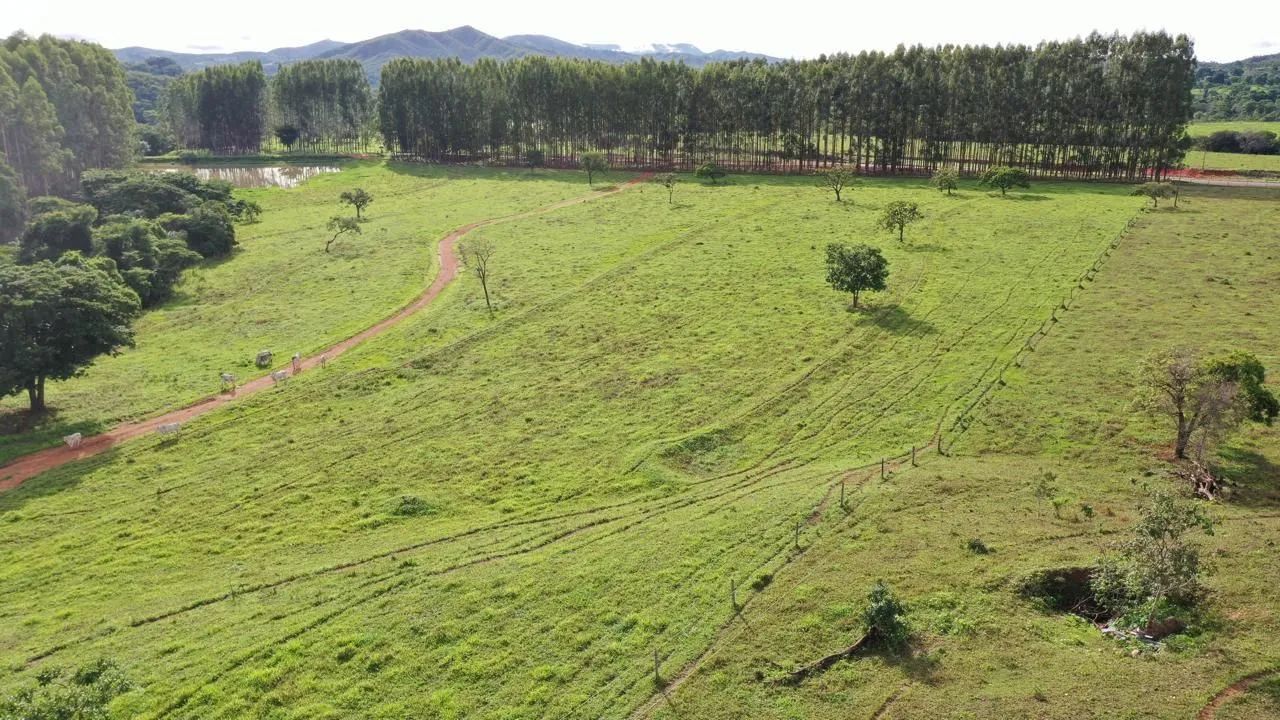 Fazenda modelo 165 Alqueires! - Foto 5