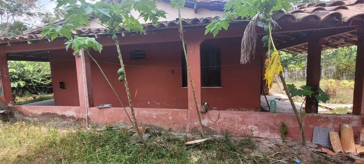 Casa, sítio, chácara, Mosqueiro, Carananduba