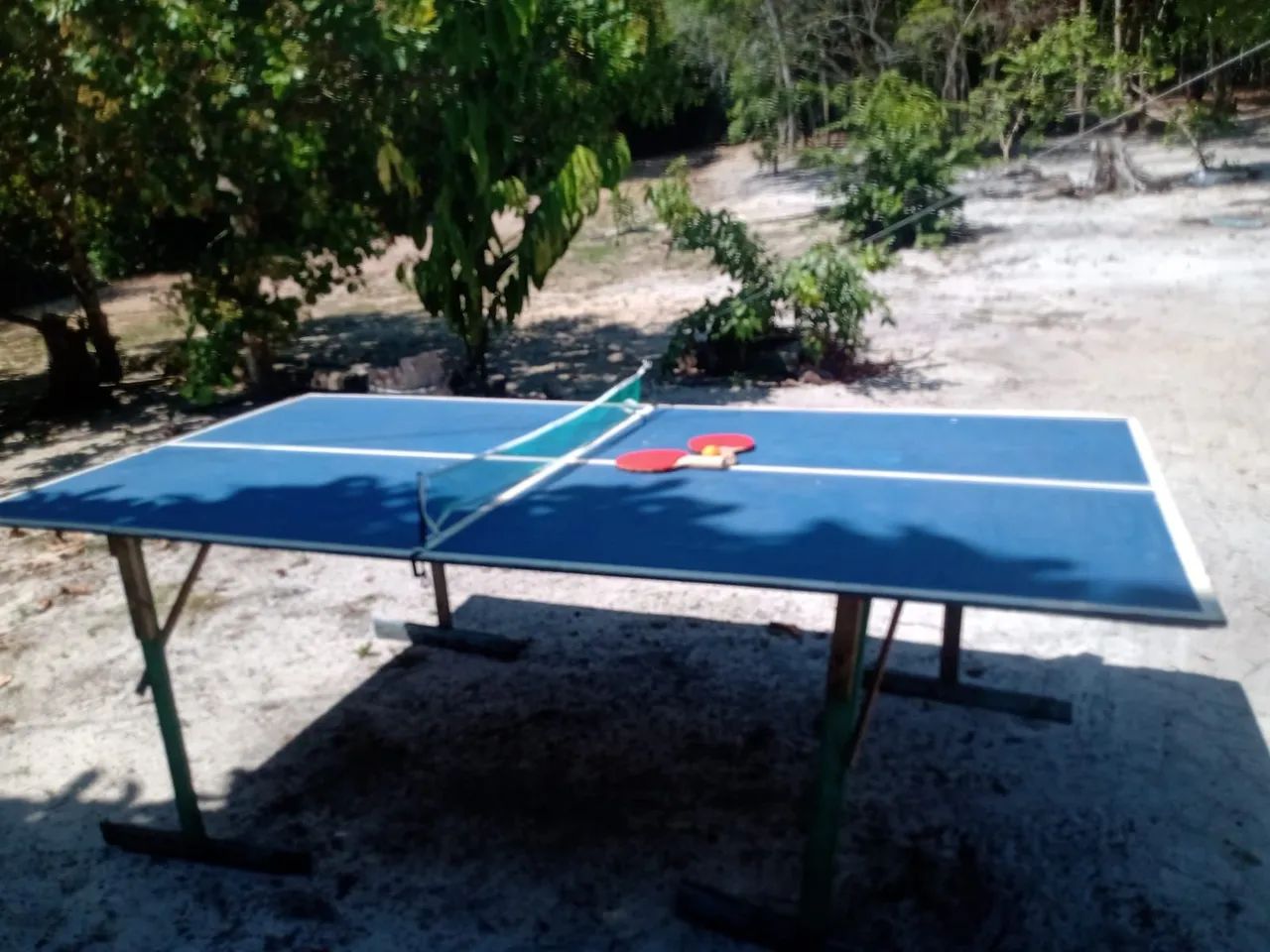 Vendo sítio na estrada de Novo Airão - Foto 5