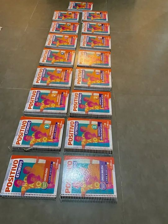 Apostila Didáticos Positivo Extensivo + memorex 