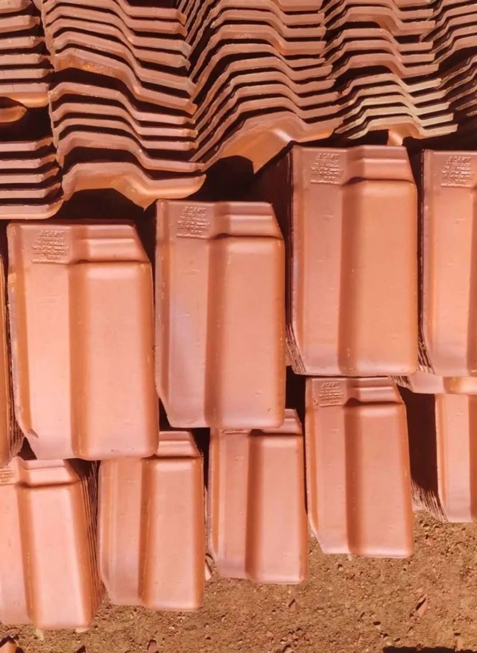 Telha Romana Cabeça Preta Especial / Super - Foto 3