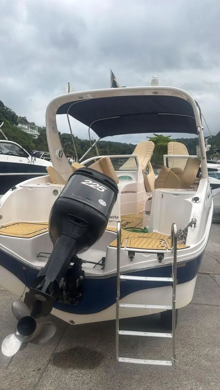 MOTOR NAUTICO OPTMAX 225