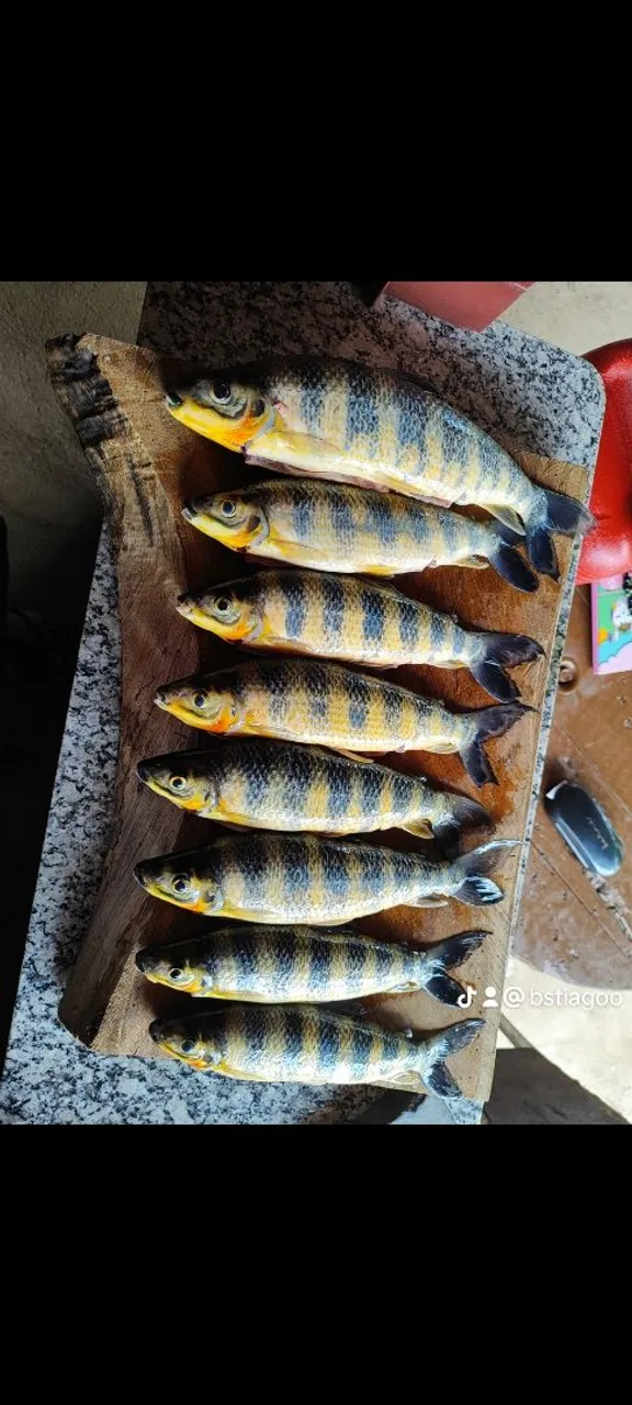 Rancho as Margens do Rio Tocantins em Peixe